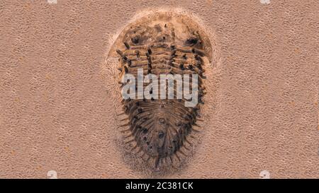 Der Abdruck der Trilobiten in einem Stein. 500 Millionen Jahre alter Trilobit. Trilobiten, was bedeutet, dass drei Lappen eine fossile Gruppe von ausgestorbenen marinen Arachnom sind Stockfoto