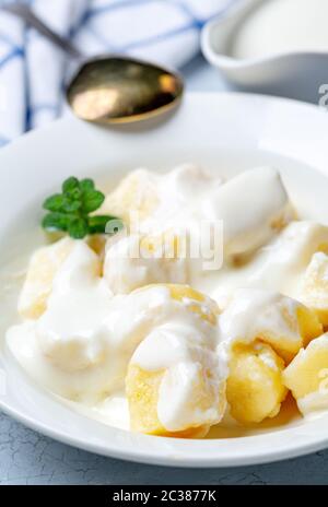 Traditionelle Hüttenkäse faule Knödel. Russische Küche. Stockfoto