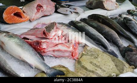 Frische Forelle auf Eis im Supermarkt. Frischer Fisch in einem Fischgeschäft. Lachs Stockfoto