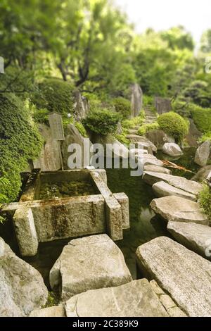 Orange japanische Karpfen Koi im zentralen Teich des Mejiro Garden, der von großen flachen ston umgeben ist Stockfoto