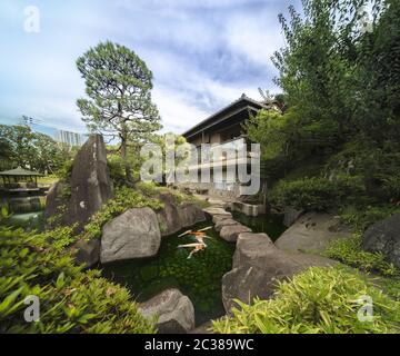 Orange japanische Karpfen Koi im zentralen Teich des Mejiro Garden, der von großen flachen ston umgeben ist Stockfoto
