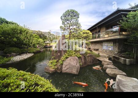 Orange japanische Karpfen Koi im zentralen Teich des Mejiro Garden, der von großen flachen ston umgeben ist Stockfoto