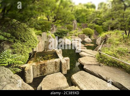Orange japanische Karpfen Koi im zentralen Teich des Mejiro Garden, der von großen flachen ston umgeben ist Stockfoto