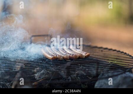 Hot Dogs oder wiener Wurst auf einem Metall mahlen im Freien mit Rauch. Kopieren Raum für Text. Konzept der Natur-Freizeitgestaltung. Stockfoto