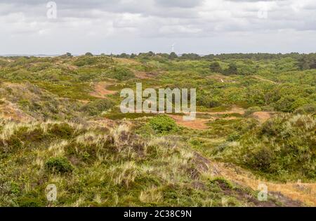 Eindruck von Spiekeroog, eine der Ostfriesischen Inseln an der Nordsee in Deutschland Stockfoto