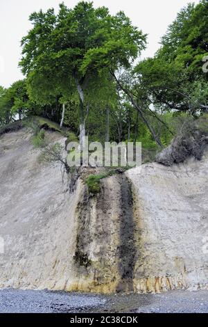 Steile Wand mit Quelle an der Kreideküste, Insel RÃ¼gen Stockfoto