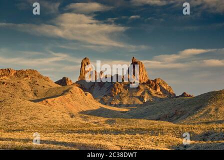 Mule Ohren spitzen bei Sonnenuntergang, Chihuahua-Wüste in Big Bend Nationalpark, Texas, USA Stockfoto