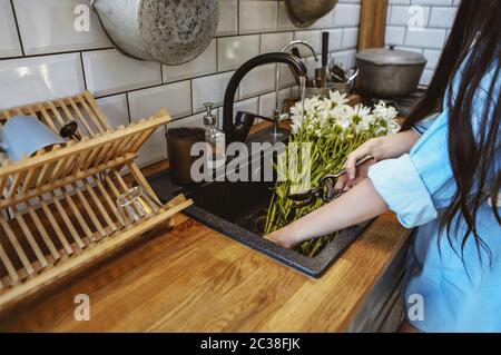 Crop Frau schneiden Blumen in Waschbecken Stockfoto