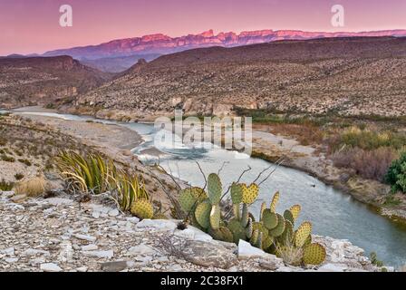 Rio Grande in der Gegend von Hot Springs, Sierra del Carmen in Mexiko in dist, Lechuguilla Agaven und stachelige Birnen, Sonnenuntergang, Big Bend National Park, Texas, USA Stockfoto