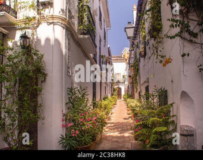 Tarifa's city centre street scene Stockfoto