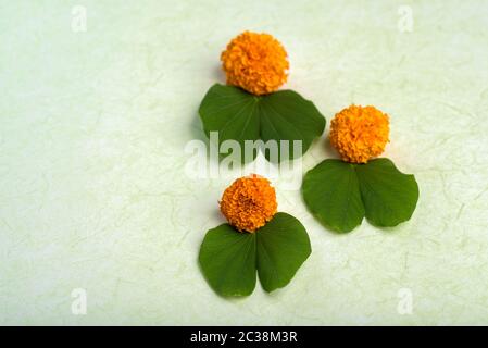 Indian Festival Dussehra, anzeigen Golden Leaf (Bauhinia racemosa) und Ringelblume Blumen Stockfoto