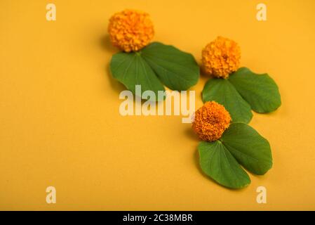 Indian Festival Dussehra, anzeigen Golden Leaf (Bauhinia racemosa) und Ringelblume Blüten auf gelbem Hintergrund. Stockfoto