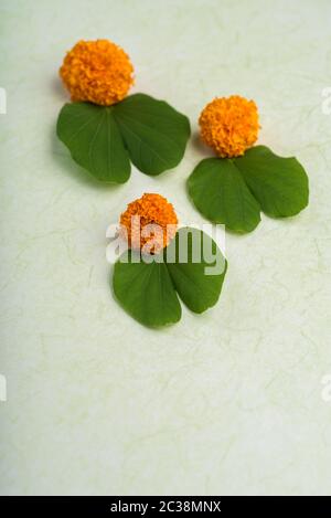 Indian Festival Dussehra, anzeigen Golden Leaf (Bauhinia racemosa) und Ringelblume Blumen Stockfoto