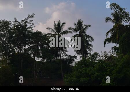 Fluss Kwai, Kanchanaburi 140120 Stockfoto