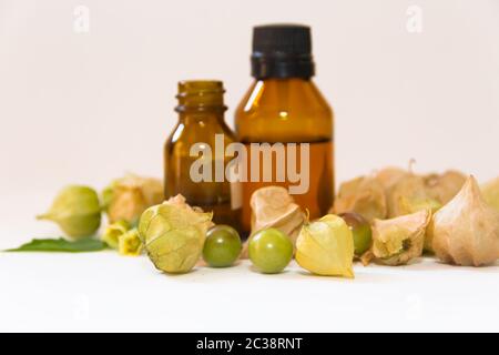 Cardiospermum halicacabum aromatische Heilpflanze Stockfoto