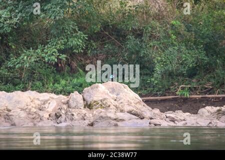 Fluss Kwai, Kanchanaburi 140120 Stockfoto