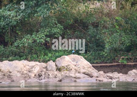 Fluss Kwai, Kanchanaburi 140120 Stockfoto