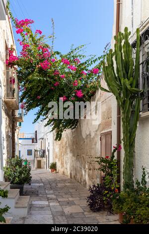 Polignano a Mare, Italien - 17. September 2019: Das charmante und romantische Altstadt von Polignano a Mare und Apulien, Süditalien Stockfoto