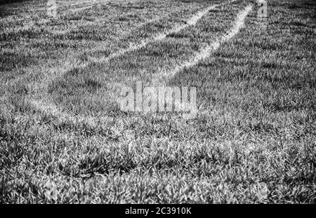 Radschilder auf dem Rasen, Details der Fahrzeugmarken Stockfoto