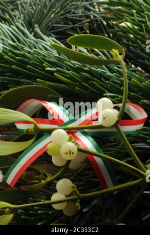 Nahaufnahme eines Mistelzweiges mit Flagge Stockfoto