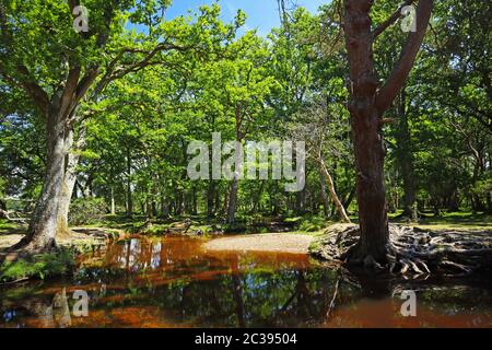 Ober-Wasserstrom Stockfoto