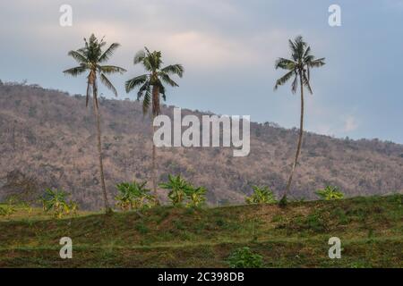 Fluss Kwai, Kanchanaburi 140120 Stockfoto