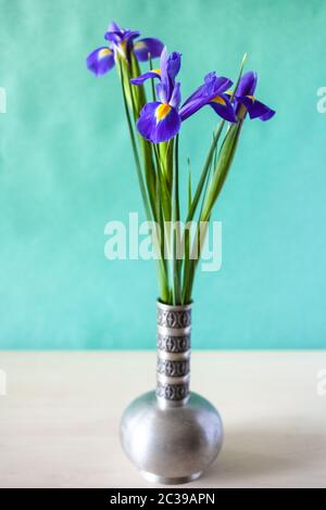 Panorama vertikale Stillleben - Bouquet von natürlichen Iris Blumen in alten Zinn Vase auf Tisch mit grünem texturierten Papier Hintergrund (Fokus auf Blütenblatt von BL Stockfoto