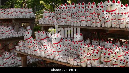 Traditioneller Tempel Gotokuji Schrein in Japan Stockfoto