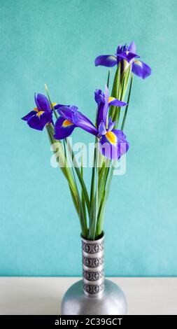 Panorama vertikale Stillleben - Bouquet von frischen Iris Blumen in Zinn Vase auf Tisch mit kalten grünen strukturierten Papier Hintergrund (Fokus auf Blütenblatt von blo Stockfoto