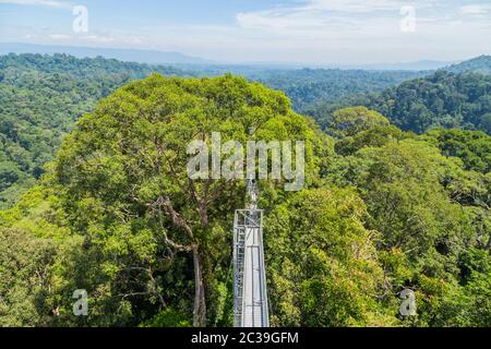 Anzeigen von Ulu Temburong Nationalpark oder fathul Park, in Temburong District im Osten Brunei von Canopy Walkway Stockfoto