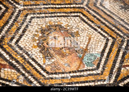 Tunis, TUNESIEN - 06. Februar 2009: Alte römische Mosaiken im Bardo National Museum Stockfoto