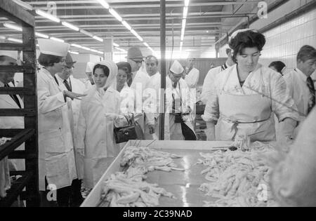 Das Königspaar Bhumibol Adulyadej Rama IX und seine Frau Sirikit besuchen auf ihrer Reise nach Deutschland eine Fischfabrik in Bremen. Stockfoto