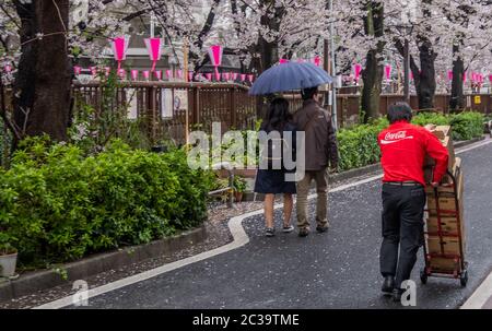 Mann, der Coca Cola-Getränke in Nakameguro, Tokio, Japan, liefert und auffüllt Stockfoto