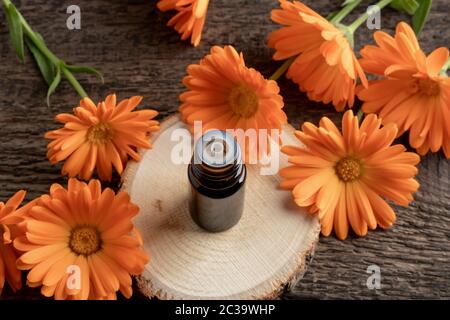 Eine dunkle Flasche ätherisches Öl mit orangen Ringelblumen Stockfoto