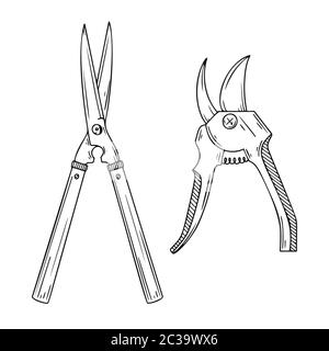 Gartenschere isoliert auf weißem Hintergrund. Vektorgrafik im Skizzenstil. Stock Vektor