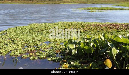 Wasseraufbereitungsanlage Stockfoto