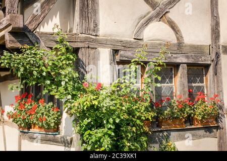 Rote Geranien auf der Fensterbank eines alten Fachwerkhauses Stockfoto