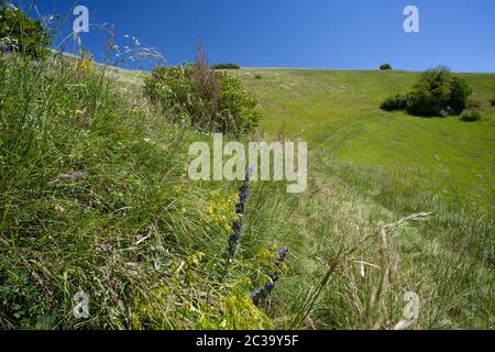 Landschaftlich reizvolle Aussicht auf Kaiserstuhl Stockfoto