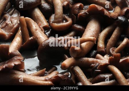 Kochen Sie frische Pappelpilze in der Pfanne Stockfoto