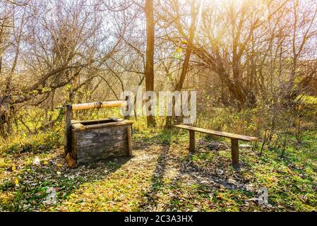 Alte hölzerne gut zeichnen und Sitzbank im Herbst Wald Stockfoto