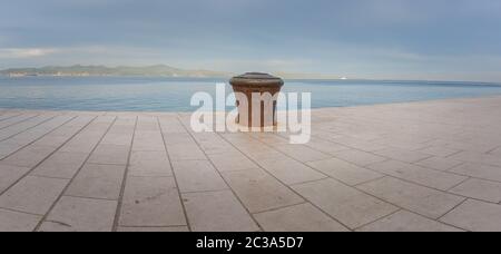 Pollard auf Zadar Hafen Kroatien Stockfoto