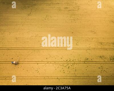 Traktor sprühen Ernten in Feld, Luftaufnahme von Drone pov Stockfoto