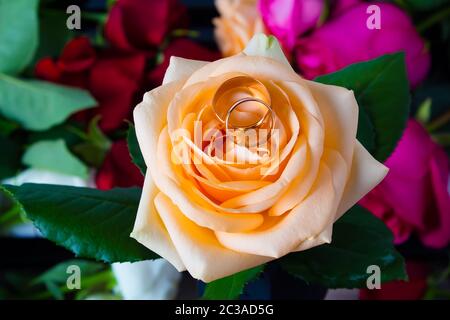 Zwei Trauringe liegen auf gelbe Rose auf einem Hintergrund von Blumen. Gold Ringe mit Blumen. Vorbereitung für die Verlobung oder Hochzeit. Valentinstag Geschenk. Stockfoto