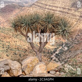 Äthiopische Landschaft, Äthiopien, Afrika Wildnis Stockfoto