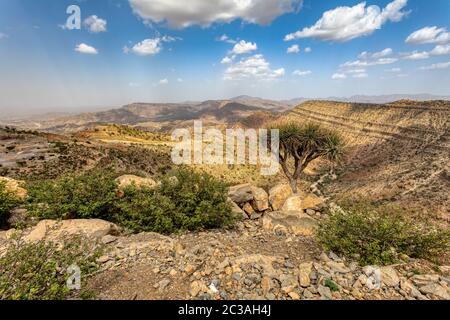 Äthiopische Landschaft, Äthiopien, Afrika Wildnis Stockfoto