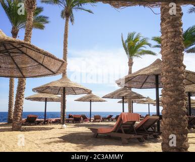 Touristenstrand ohne Menschen mit Palmen und Holzschirmen in Ägypten Stockfoto