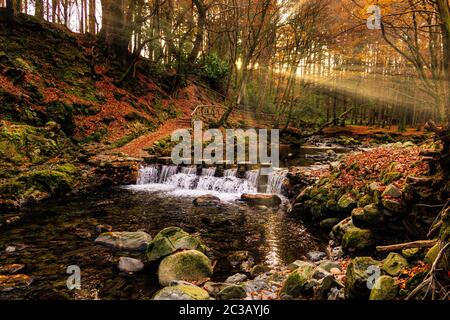 Kaskade auf Fluss und Fußweg mit Sonnenstrahlen, die durch Zweige in goldfarbenen Herbstbäumen leuchten Stockfoto
