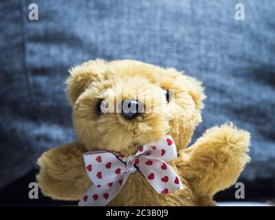 Spielzeug Teddybär mit einem Bogen close Winkel Stockfoto