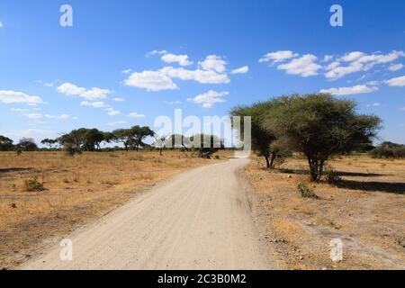 African Safari. Dirt Road im Tarangire Nationalpark, Tansania, Afrika. Stockfoto