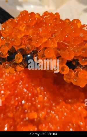 Eier mit einem Handschuher mischen. Roter Kaviar in einem Plastikbehälter. Lachskaviar, Diätkost. Stockfoto